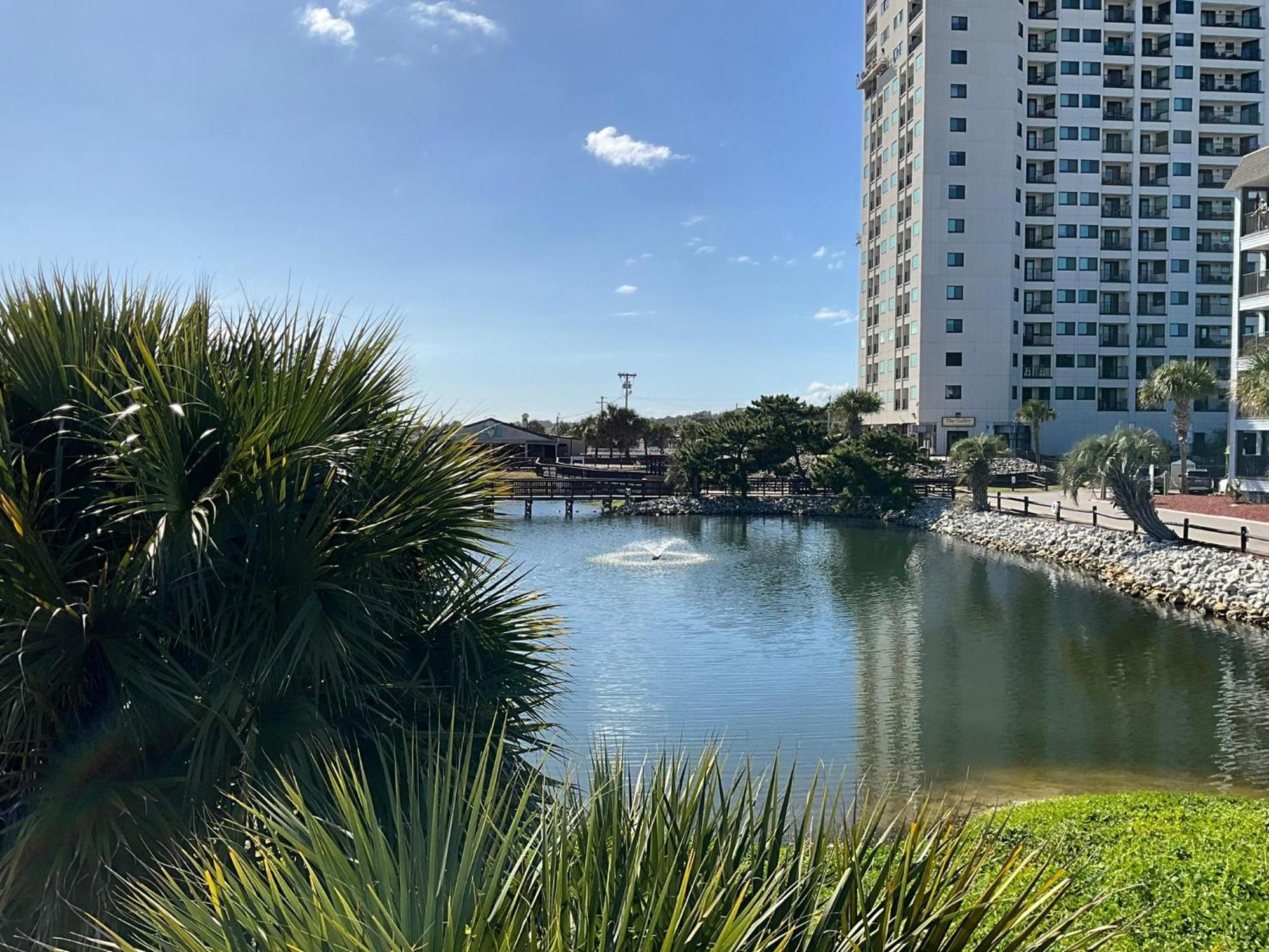 הוילה מירטל ביץ' 5905 S Kings Hwy, 4203 - Ocean Walk Sleeps 4 מראה חיצוני תמונה